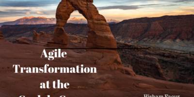 Agile Transformation at the Carlyle Group by Hisham Faour and Roy Schilling