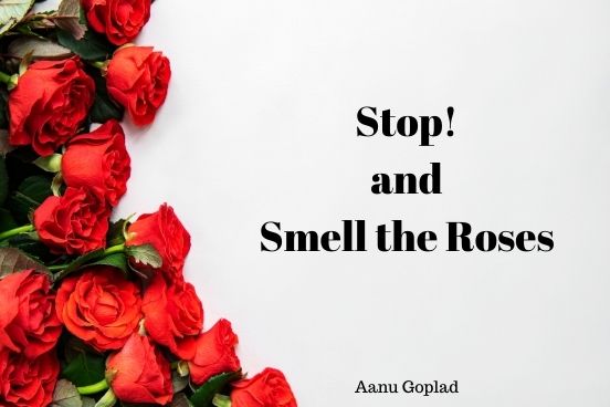 Read more about the article Stop and Smell the Roses by Aanu Gopald